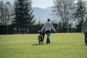 Ortsgruppenprüfung Frühjahr @ SVÖ Saalfelden