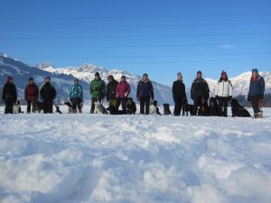 Neujahrsspaziergang @ Treffpunkt Parkplatz Sportplatz Haid